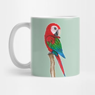 Green wing macaw Mug